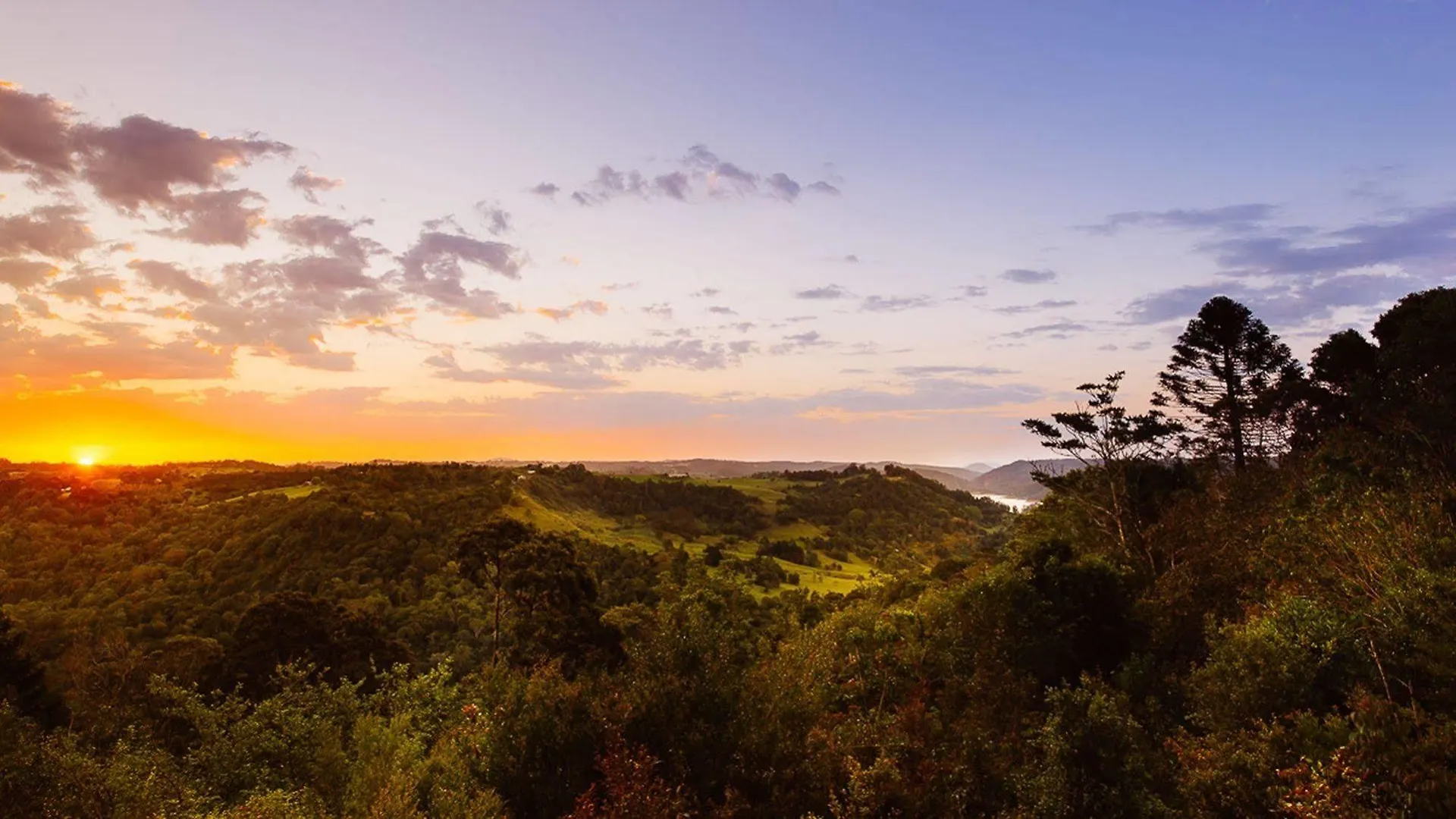 Lillypilly'S Cottages & Day Spa Maleny